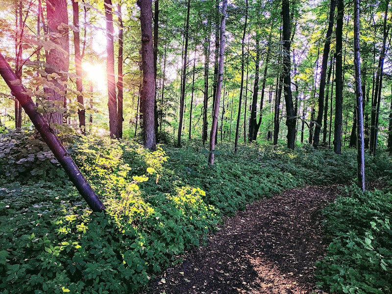 Engelska parken (Stjärnparken)