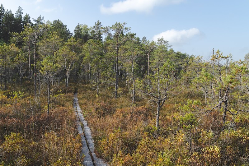 Grundsjömossarnas naturreservat