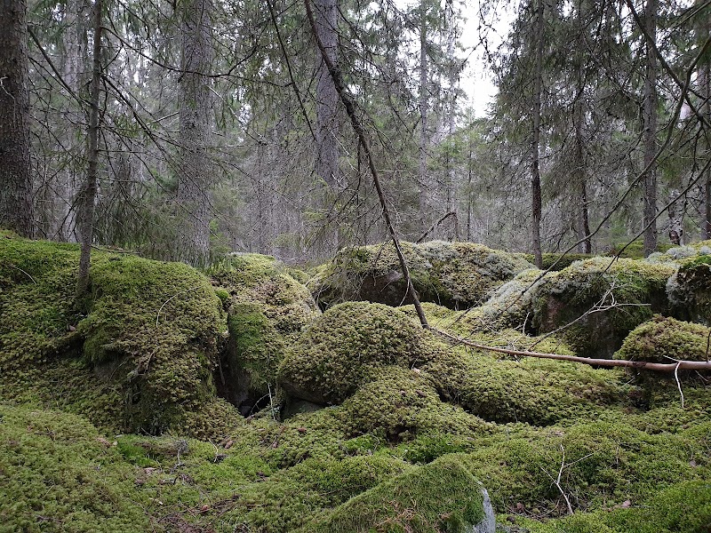 Tjäderleksmossens naturreservat