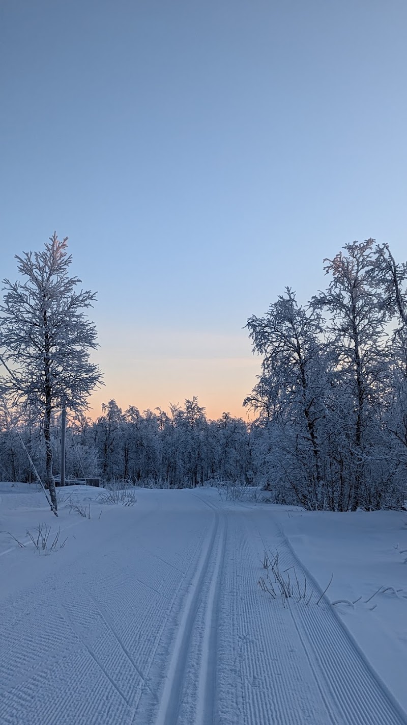 Cross country ski tracks