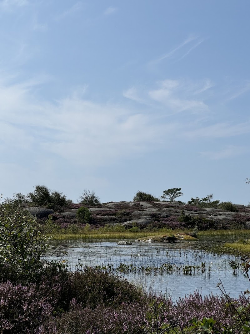 Tuveslätts naturreservat