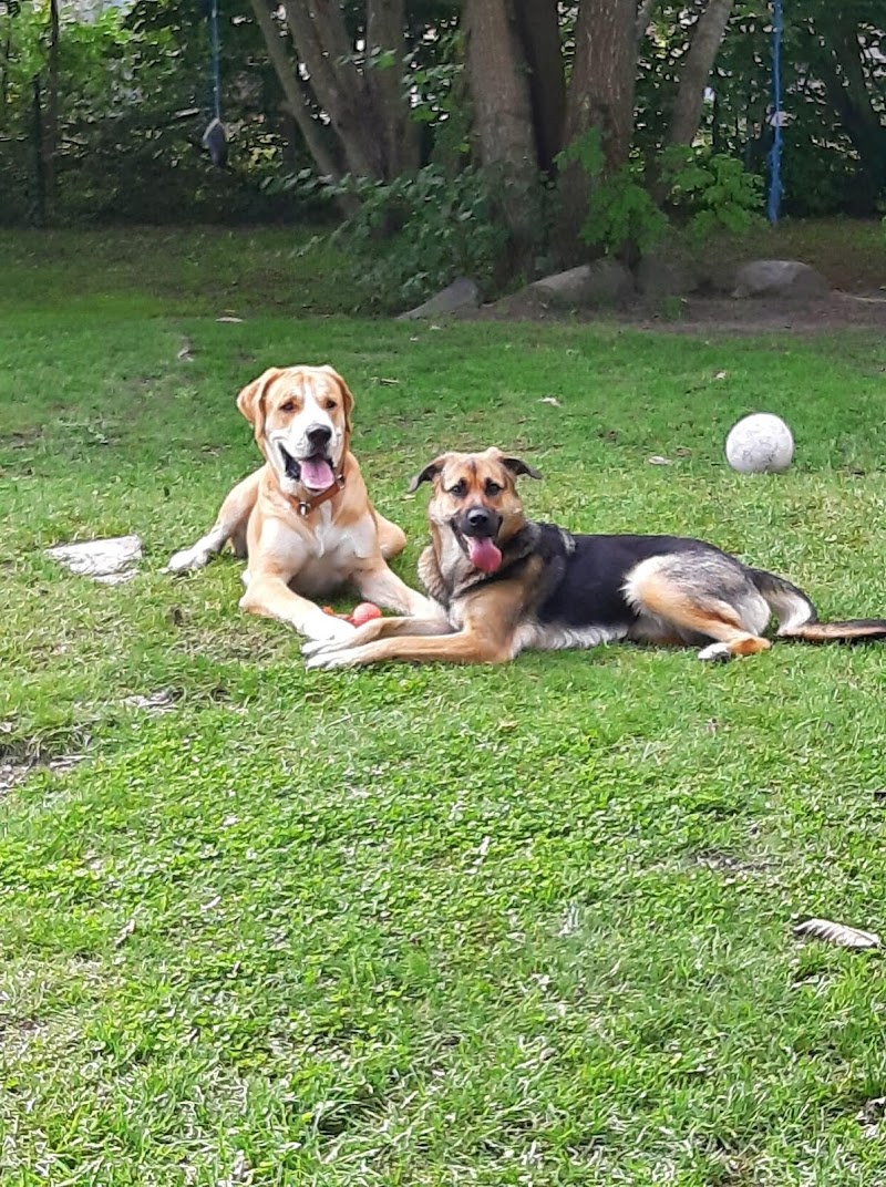 Grästorps Hundpark