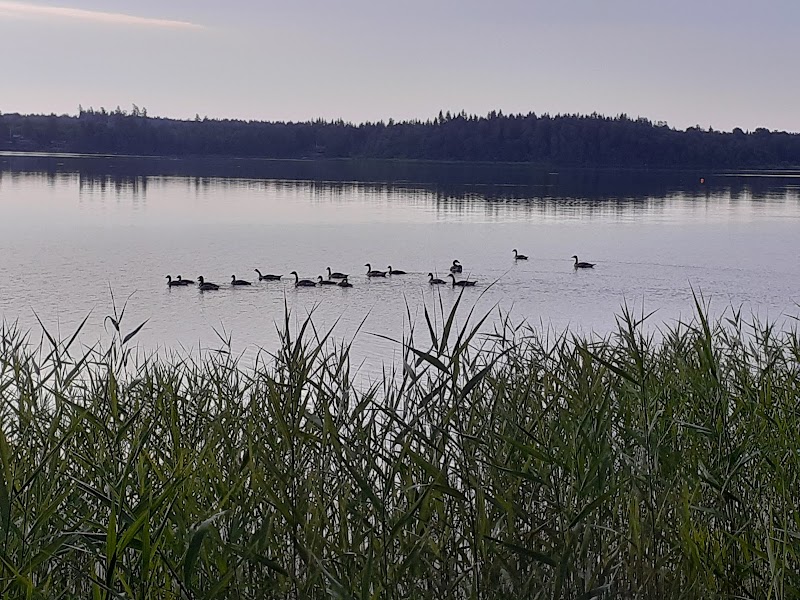 Torpanäsets naturreservat