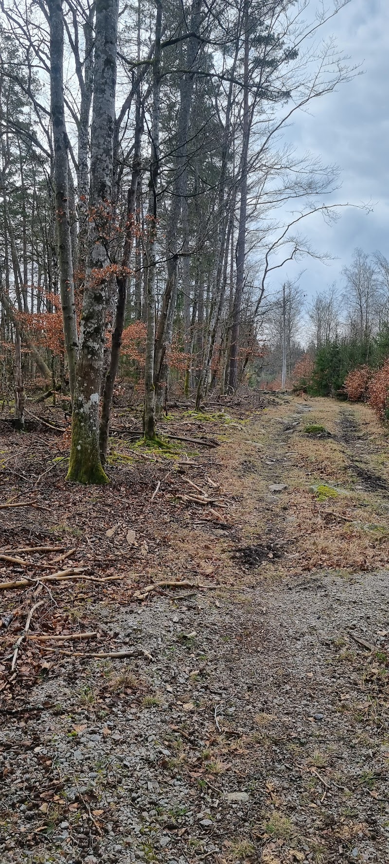 Gise Höna naturreservat