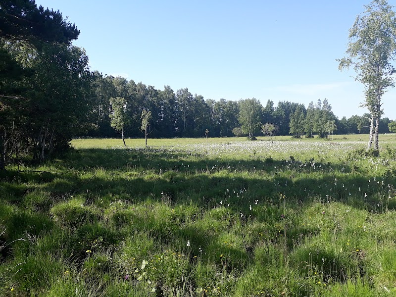 Sjöstorps kalkkärr