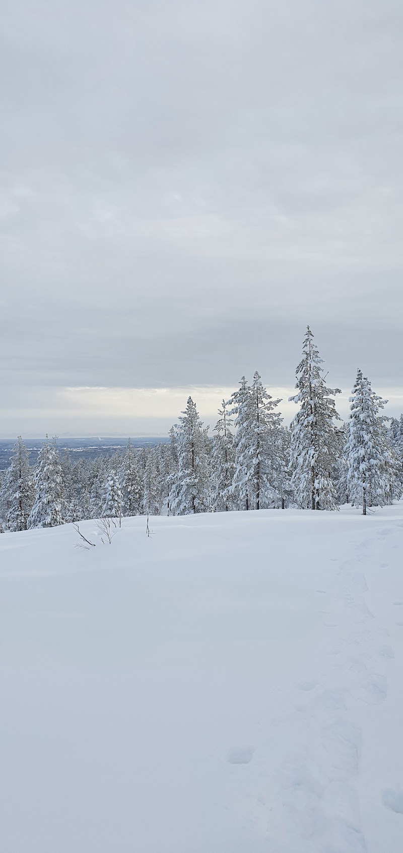 Långberget