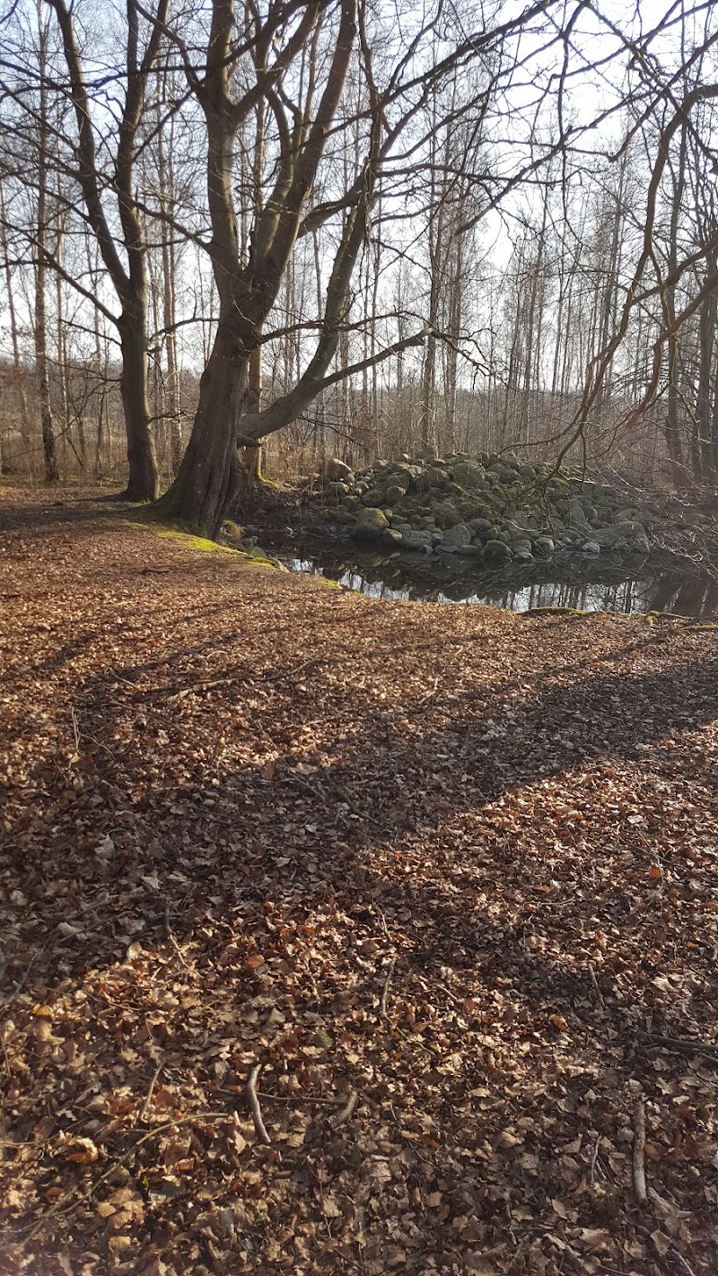 Braheskogen