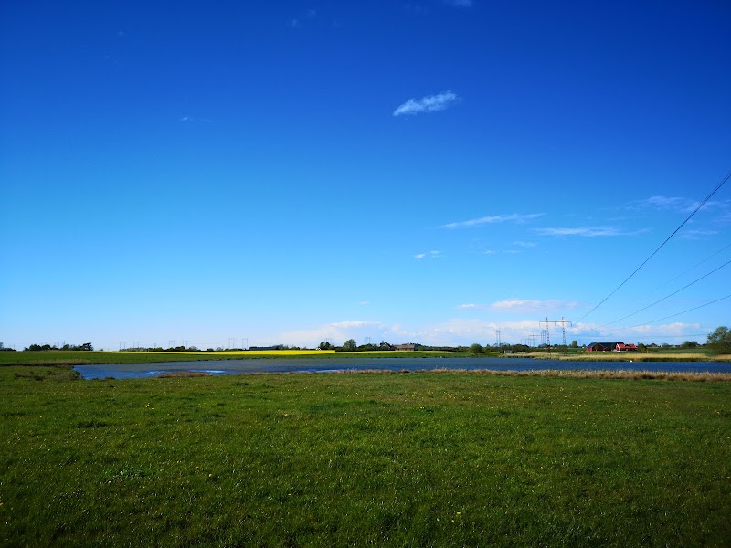 Brogårda våtmark