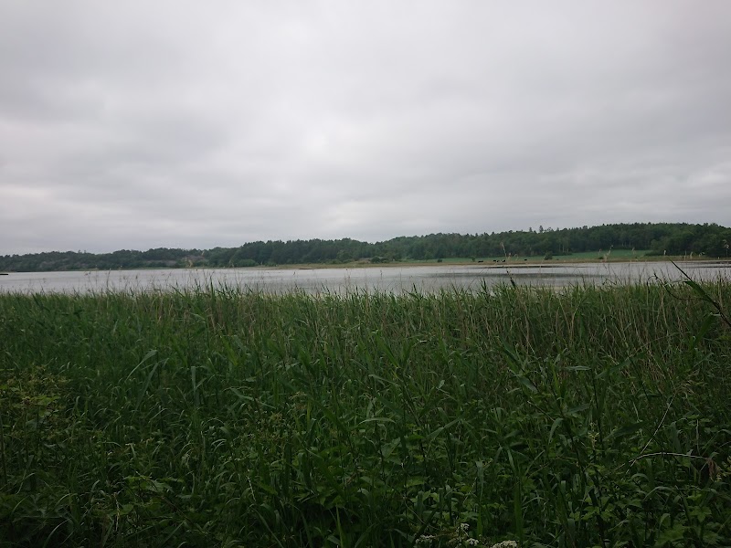 Tanumskilen