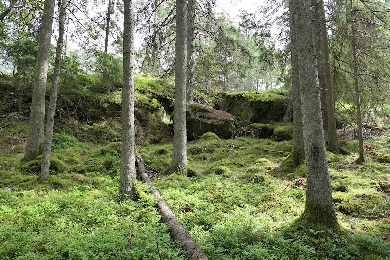Stickelsberg naturreservat