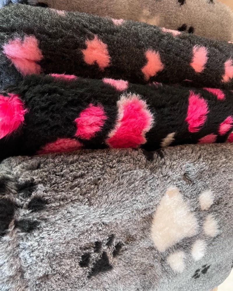 Loppas Hund & Katt