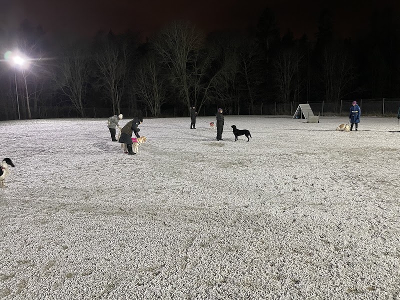 Svenska Dobermannklubben Stockholm