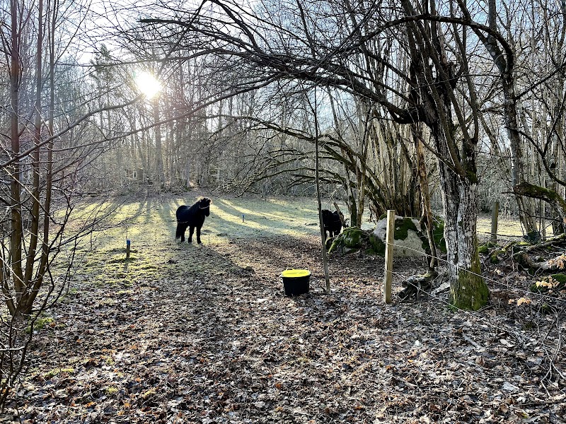 Stockanäs naturreservat