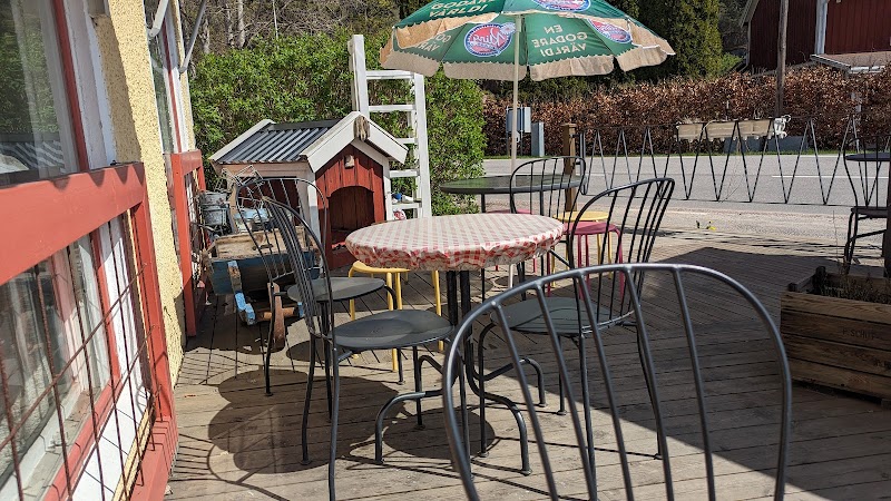 Daisy's Coffee Shop and Curiosities