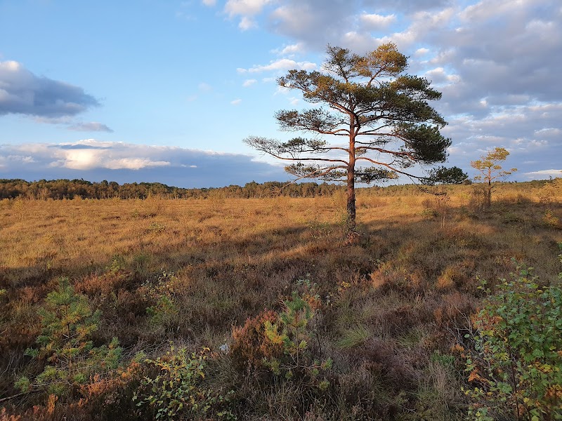 Klåveröds strövområde, parkering Traneröds mosse