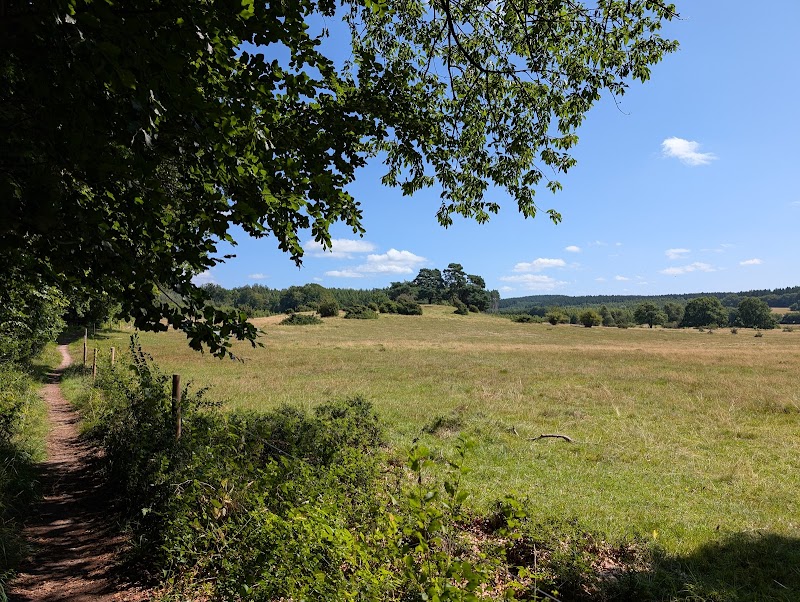 Häckeberga naturreservat