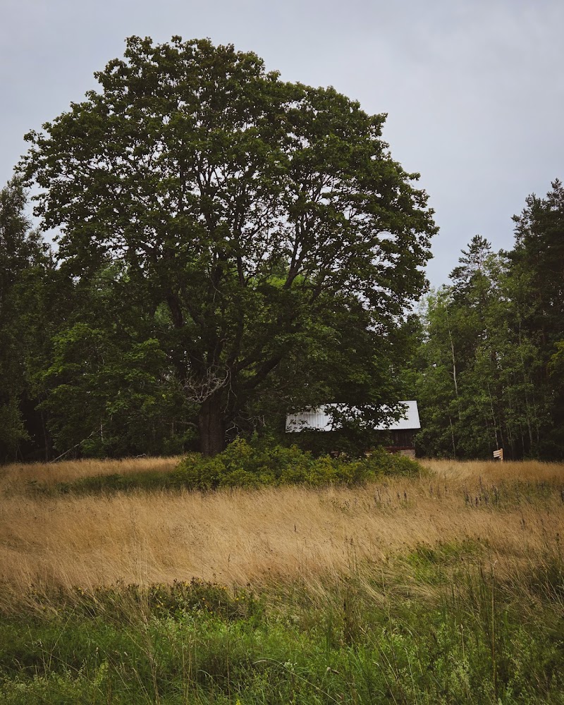 Fibbetorpsskogen naturreservat