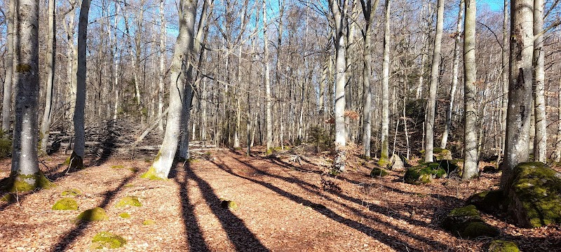 Hensjönäsets naturreservat