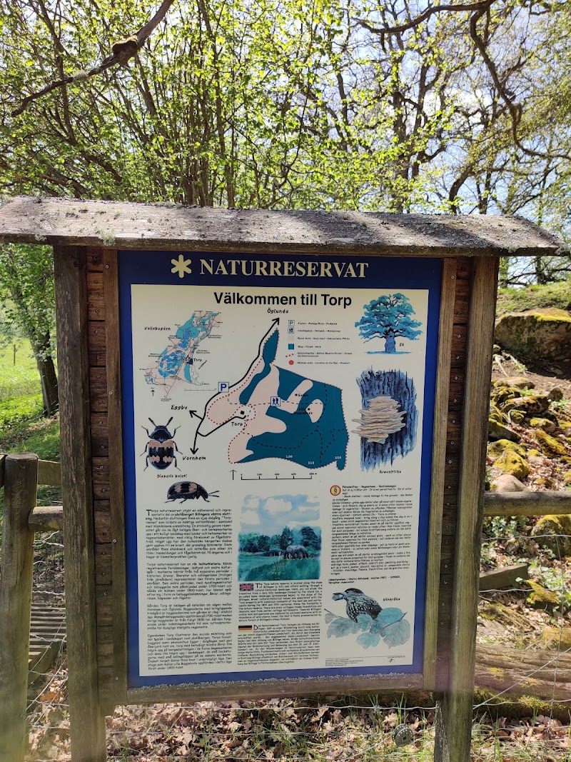 Torps naturreservat