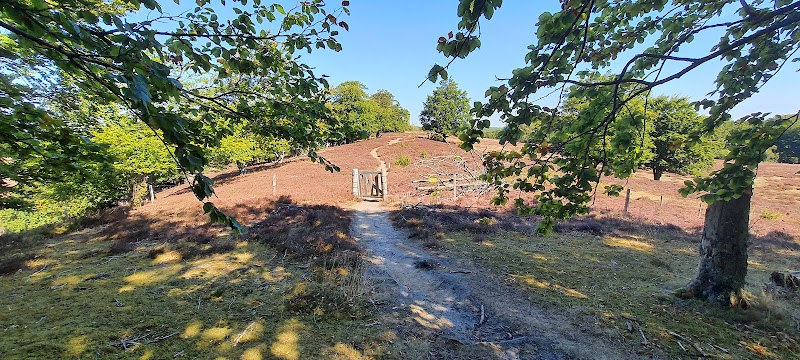 Drakamöllan - nature reserve