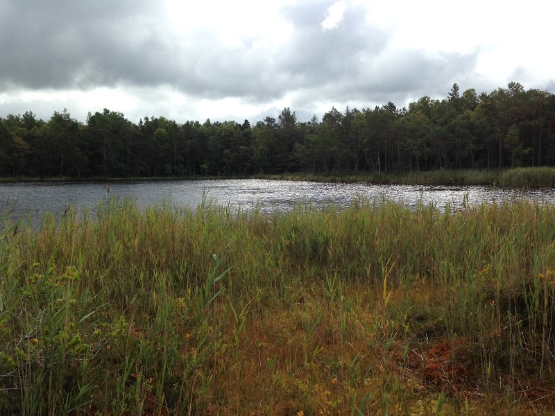 Bölsjöns Naturreservat