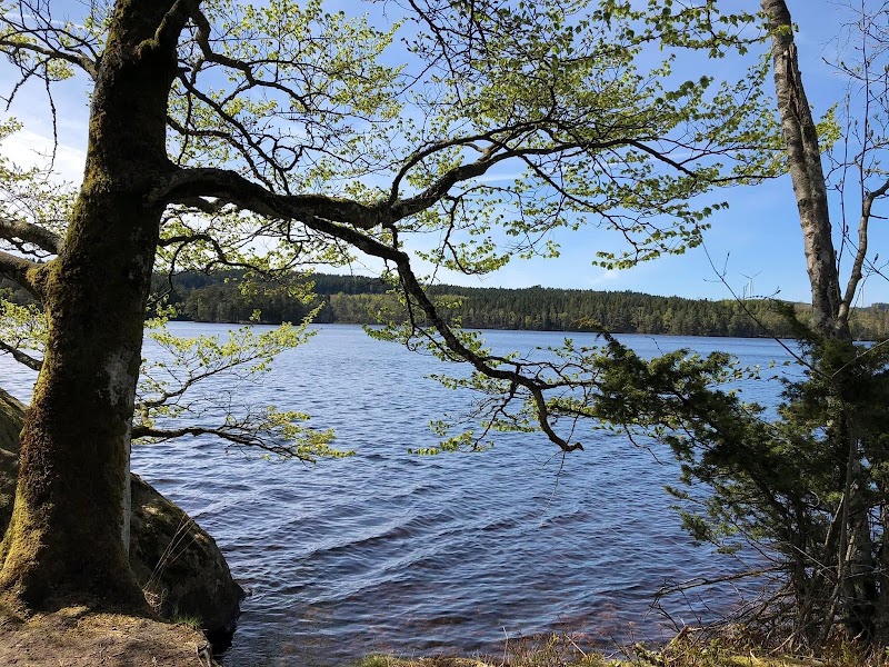 Suseån Naturreservat