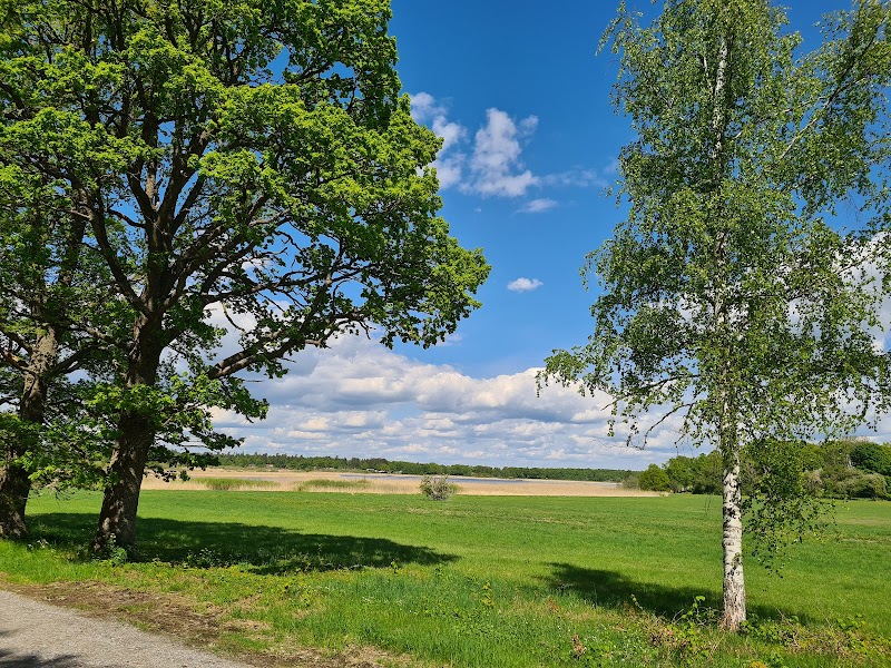 Billingen