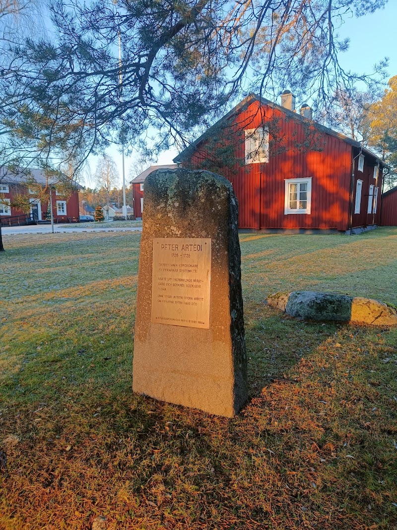 Peter Artedis minnesmonument