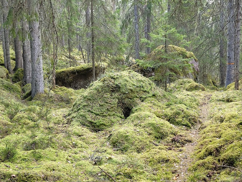 Ekhult Naturreservat