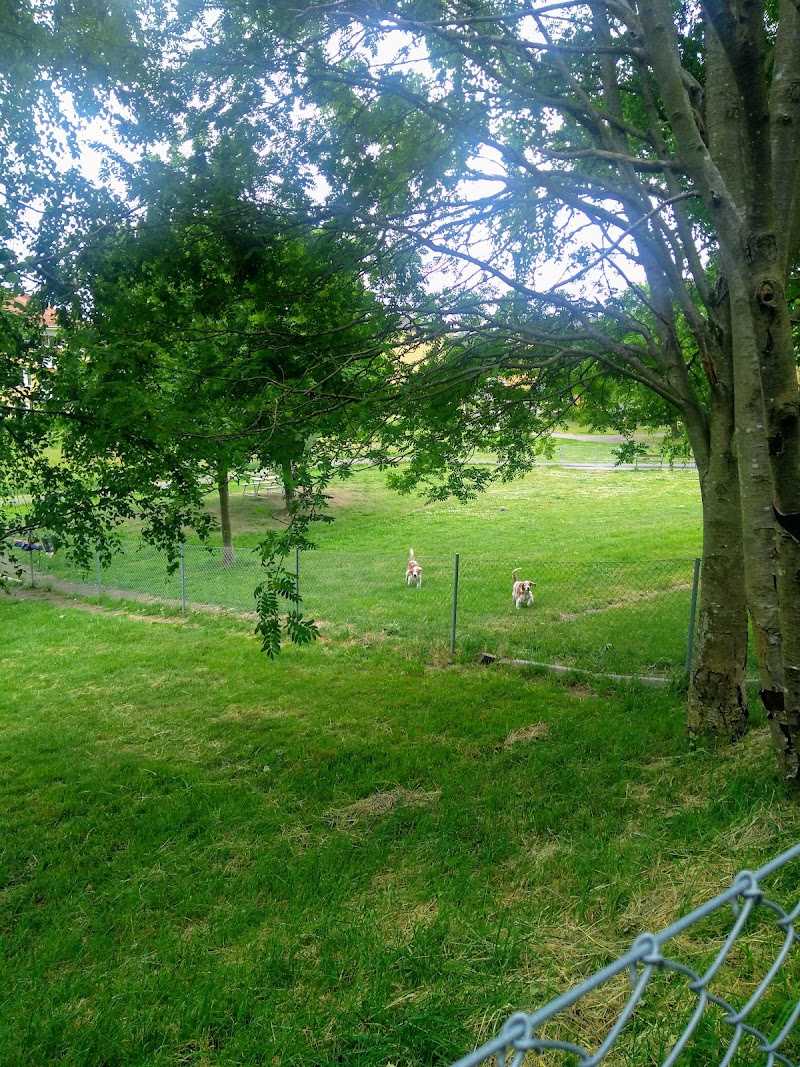 Bifrostparkens hundrastgård