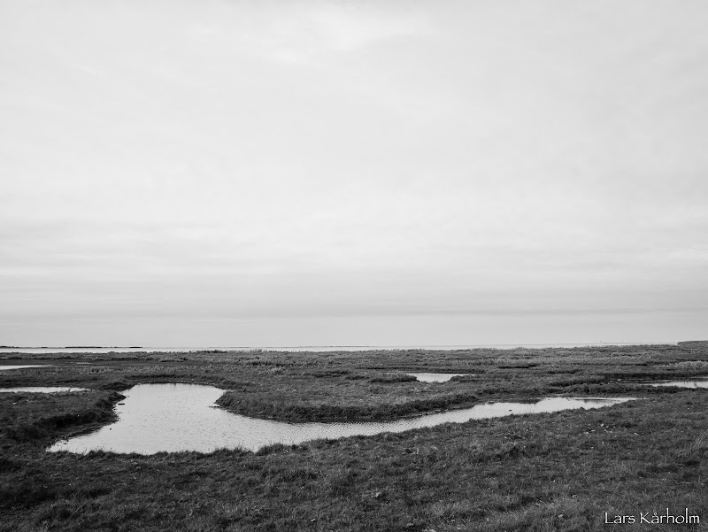 Vällinge meadows