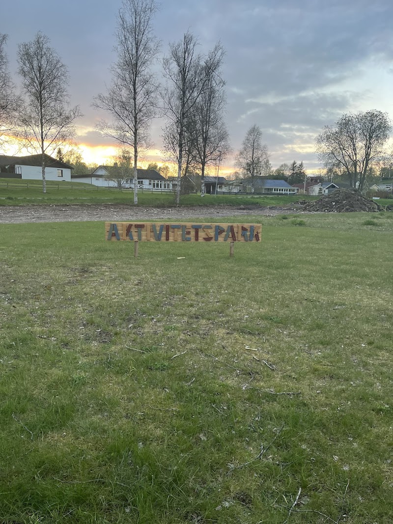 Offentlig aktivitetspark