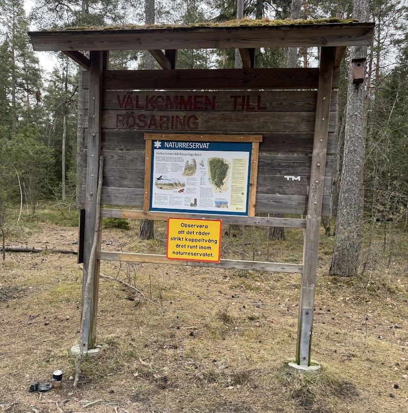 Rösaringsåsens naturreservat