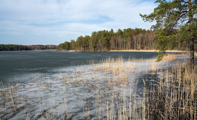 Lillsjön-Örnässjöns naturreservat