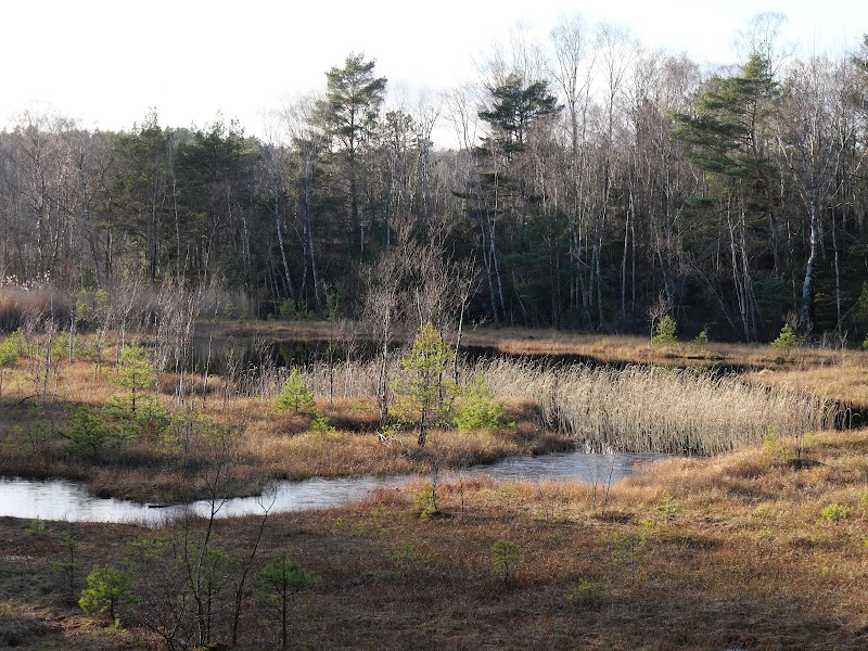 Safjällets naturreservat