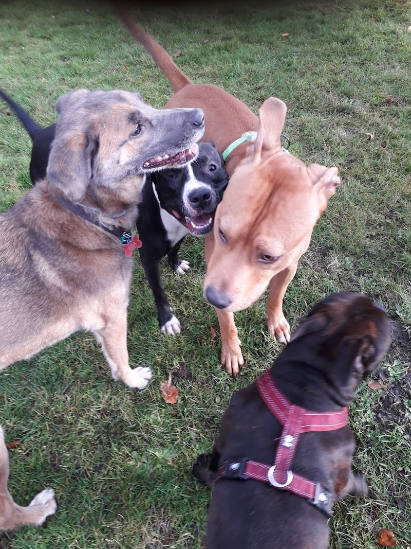 Arlöv dog park