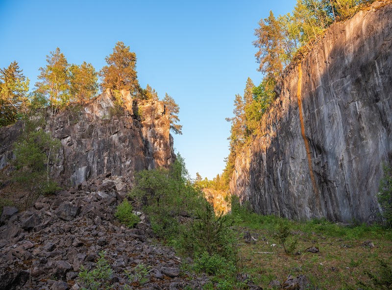 Glans kalkbarrskogar