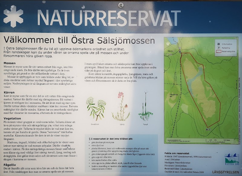Östra Sälsjömossen
