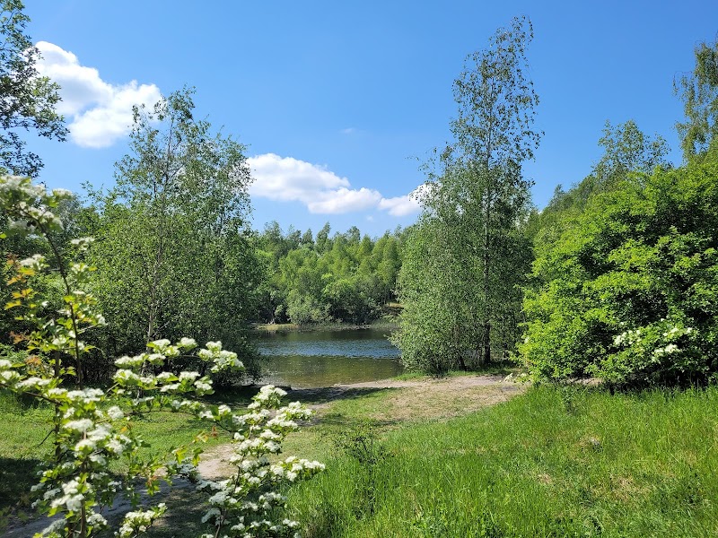 Arriesjön-Risebjär