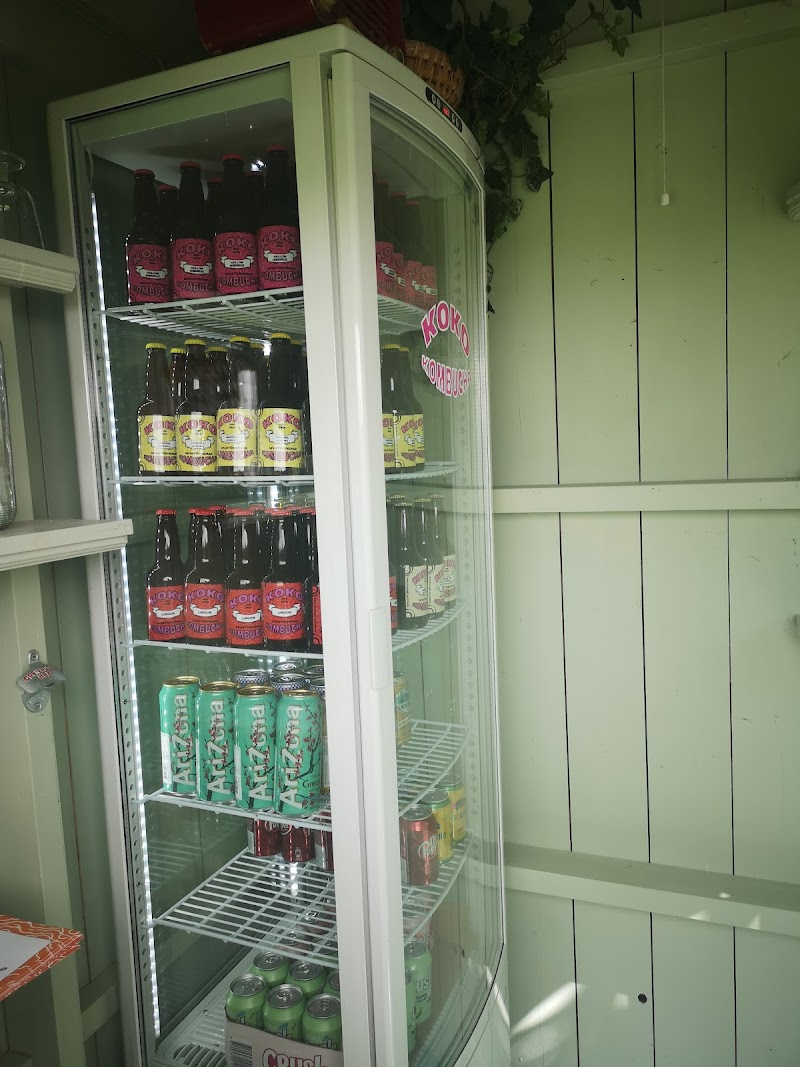 Kokokombucha Hälsingland