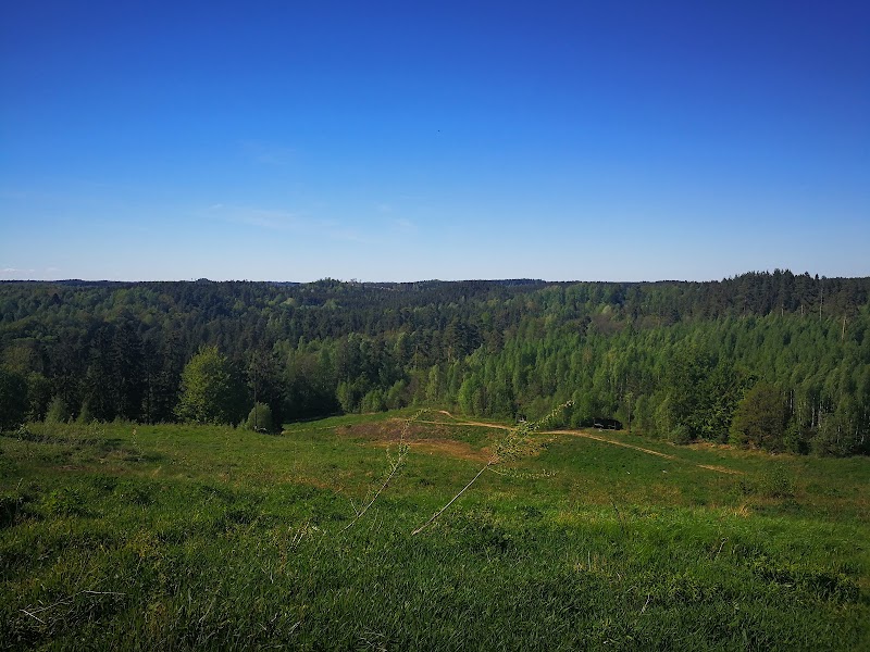 Vinterberget