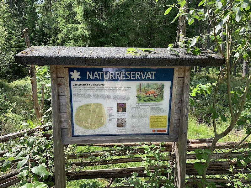 Bäckafalls naturreservat