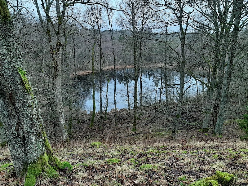 Höjentorp Slottsruin, naturreservat