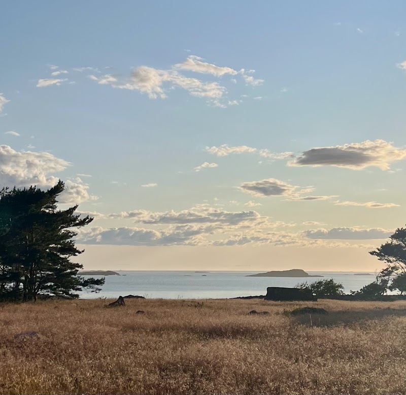 Hällsö naturreservat