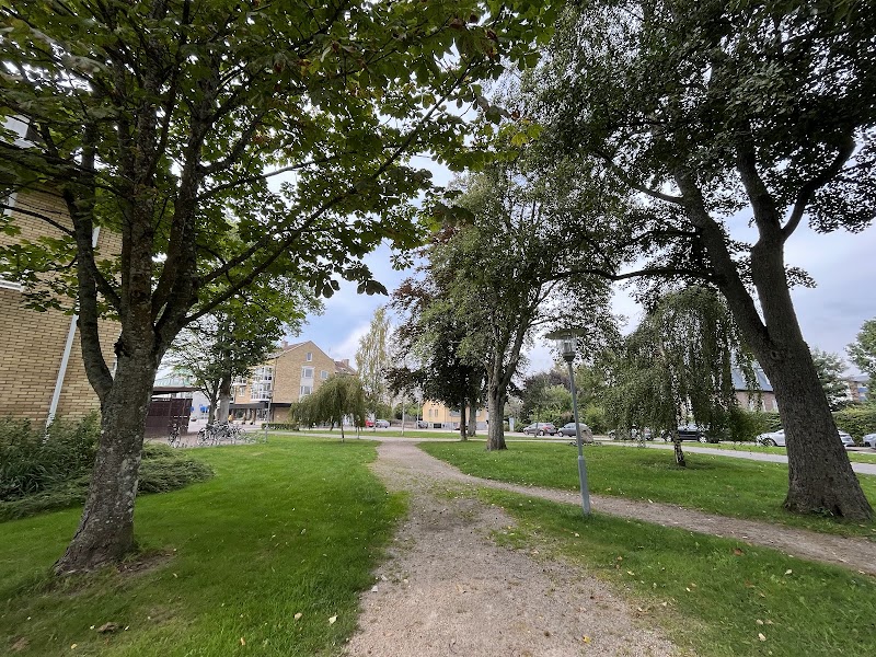 Björkparken