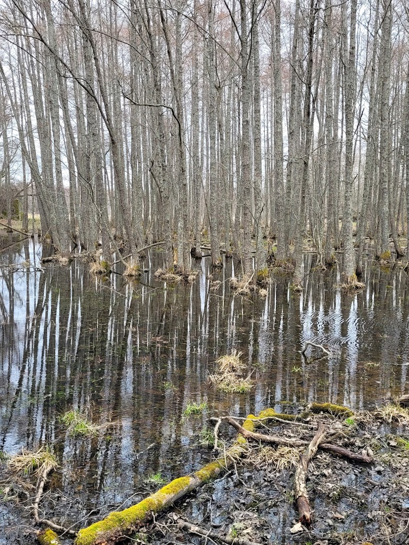 Skärets naturreservat