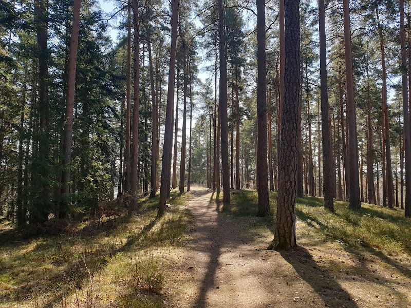 Stadsberget