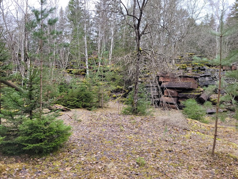 Gröne forest