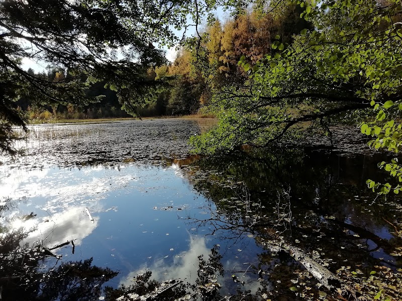 Mörkahålkärrets naturreservat