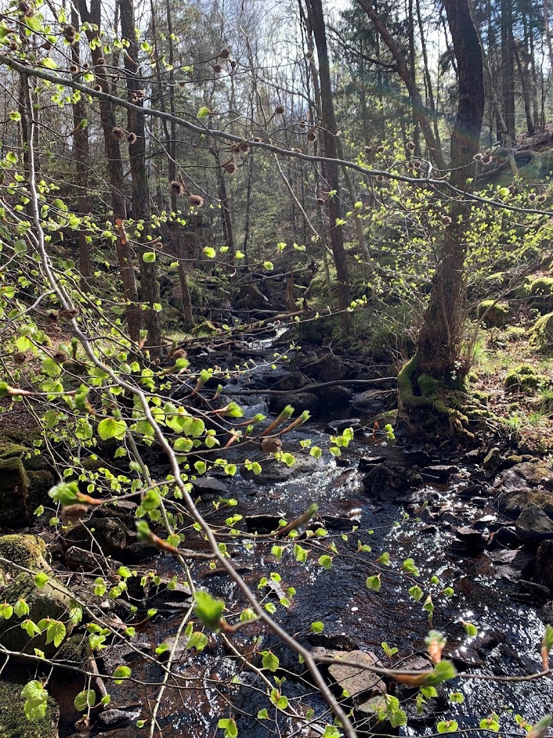 Djurholmen strövområde, naturreservat Århultsbäcken